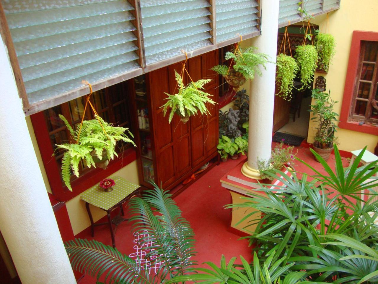 Patricia Guest House 蓬蒂切里 外观 照片